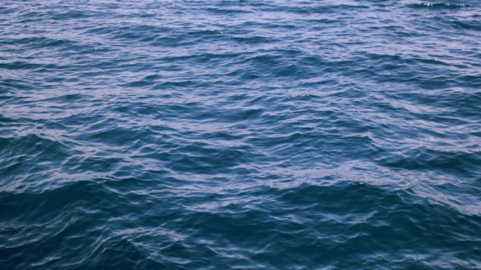 Фото: pxhere.com