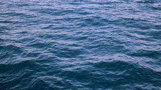 Фото: pxhere.com