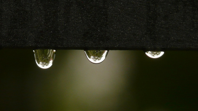 Фото: pxhere.com