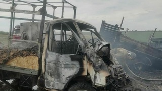 Фото: ГУ МЧС России по Алтайскому краю