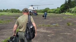 Фото: amur.sledcom.ru