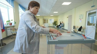 Выборы в Алтайском крае 2022 года / Фото: amic.ru