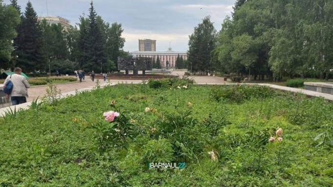 Фото: Barnaul22