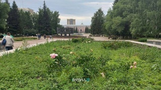 Фото: Barnaul22