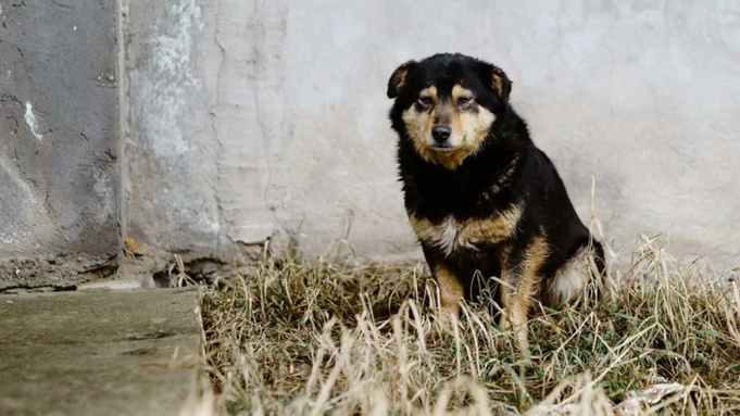 Фото: unsplash.com