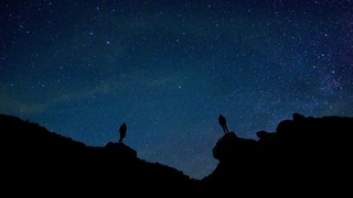 Фото: pixabay.com