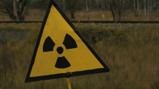 Фото: unsplash.com