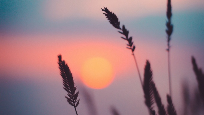 Фото: unsplash.com