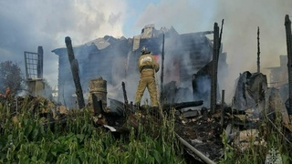 Фото: ГУ МЧС России по Алтайскому краю