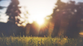 Фото: pxhere.com