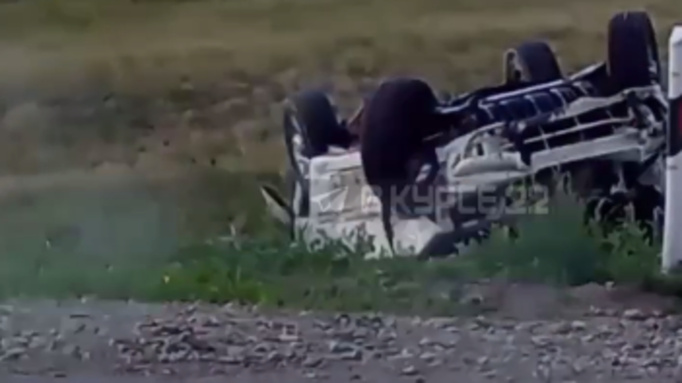 Фото: unsplash.com