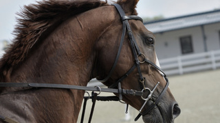 Фото: pxhere.com