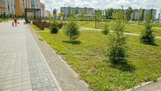 Фото: barnaul.org