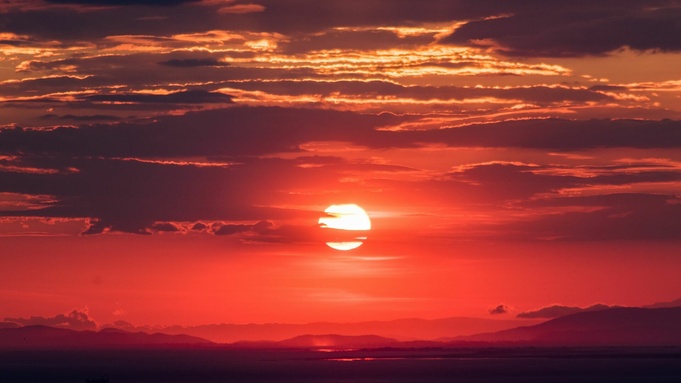 Фото: unsplash.com