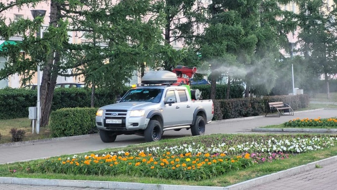 Фото: пресс-служба мэрии Барнаула