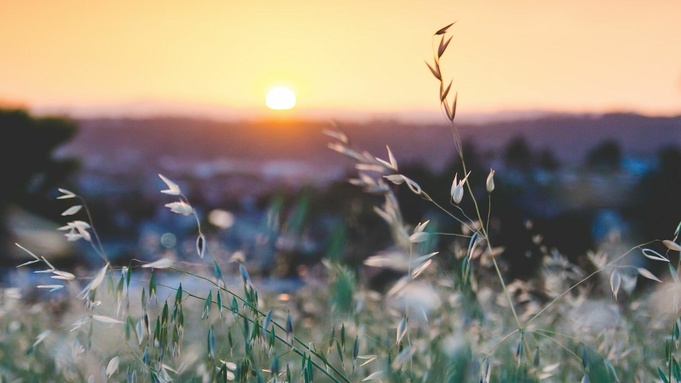 Фото: unsplash.com