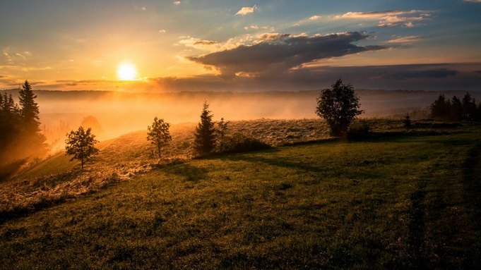 Фото: unsplash.com