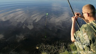 Фото: ГУ МЧС России по Алтайскому краю