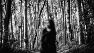 Фото: pxhere.com