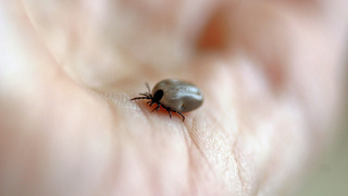 Фото: pxhere.com