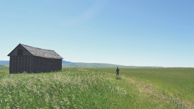 Фото: pxhere.com