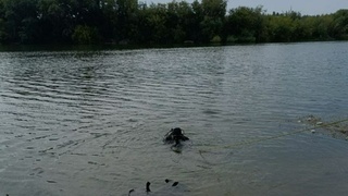 Фото: МЧС по Республике Татарстан