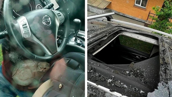 Фото: "КП-Новосибирск"