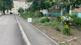 Фото: barnaul.org