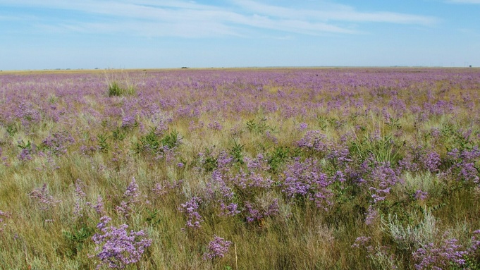 Фото: unsplash.com