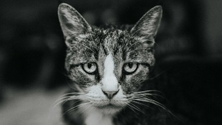 Фото: unsplash.com