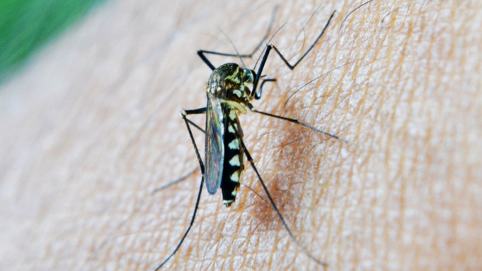 Фото: pxhere.com