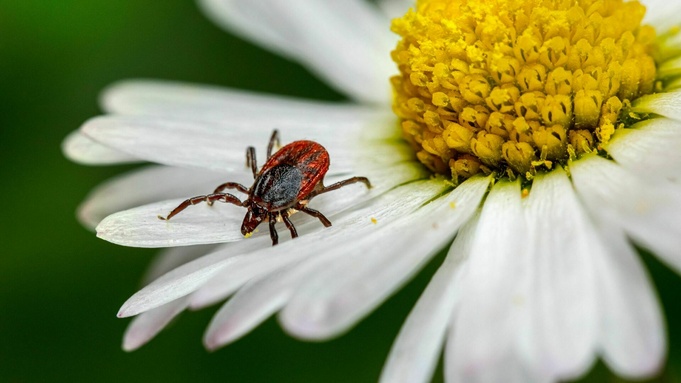 Фото: unsplash.com