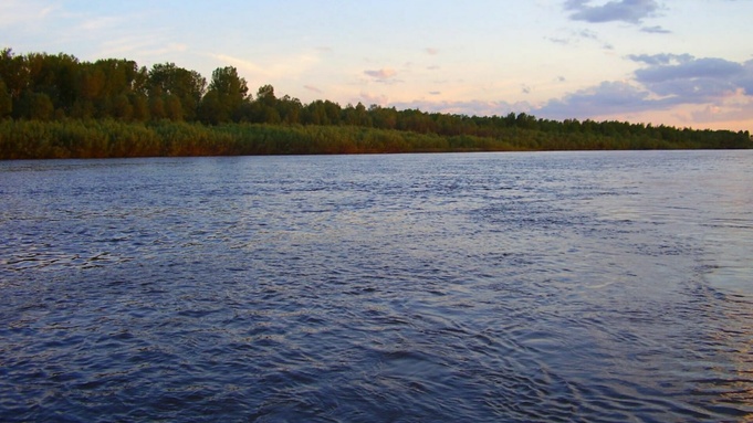 Фото: "Инцидент Барнаул"
