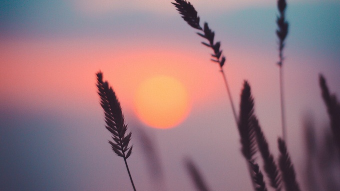 Фото: unsplash.com