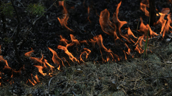 Фото: Екатерина Смолихина / amic.ru