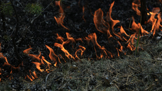 Фото: Екатерина Смолихина / amic.ru