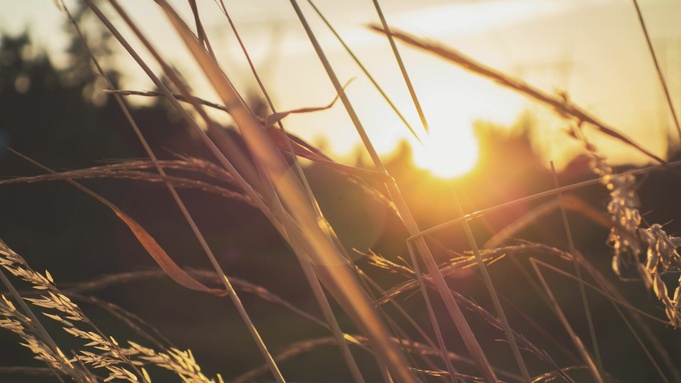 Фото: unsplash.com