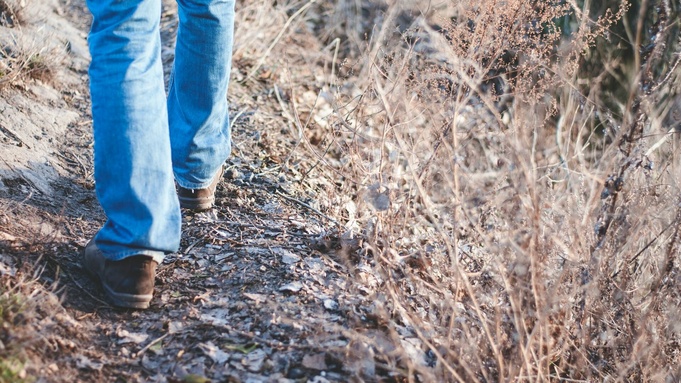 Фото: unsplash.com