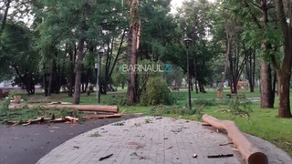 Фото: vk.com/barneos22