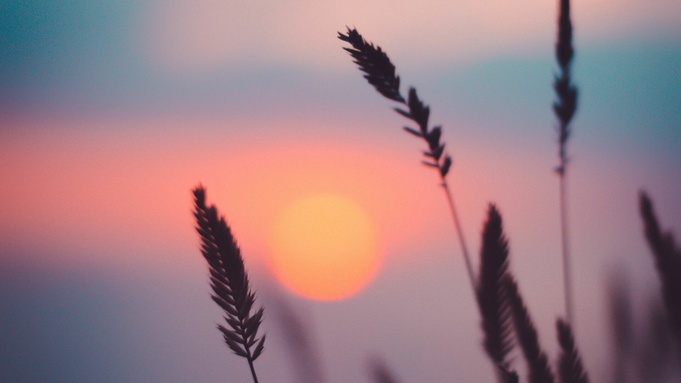 Фото: unsplash.com 