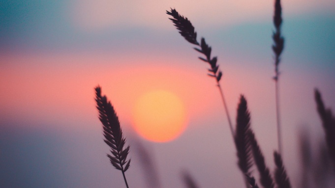 Фото: unsplash.com