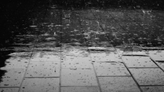 Фото: pxhere.com