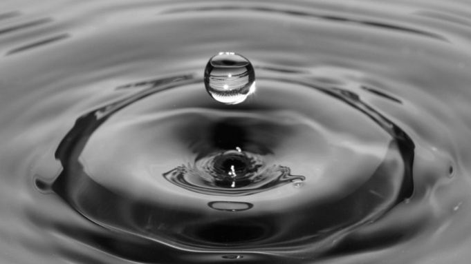 Фото: pxhere.com