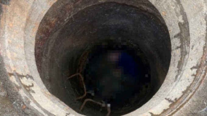 Фото: СК по Алтайскому краю