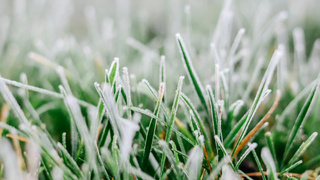 Фото: unsplash.com