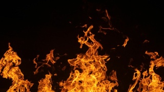 Фото: unsplash.com