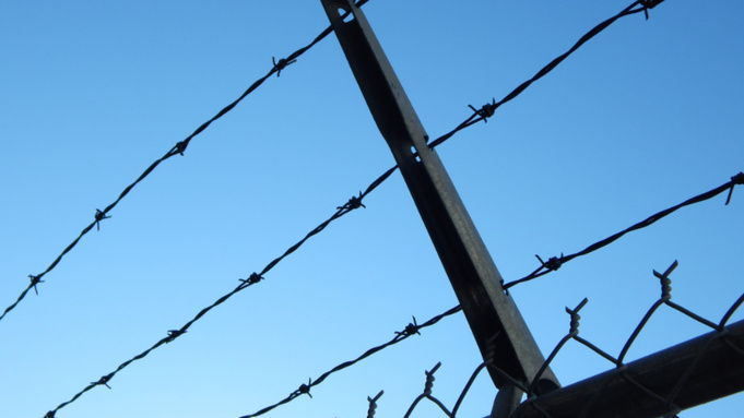 Фото: pxhere.com