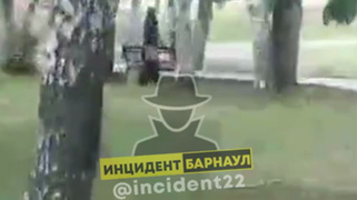 Кадр из видео