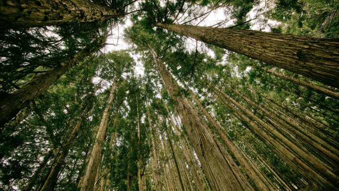 Фото: pxhere.com