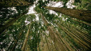 Фото: pxhere.com